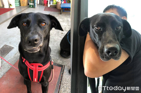 ▲▼歐告開心比賽挖洞!底迪「反向刨土」壓制...輸得灰頭土臉。(圖/粉專我的名字叫ㄍㄡˇㄗˇ授權提供)