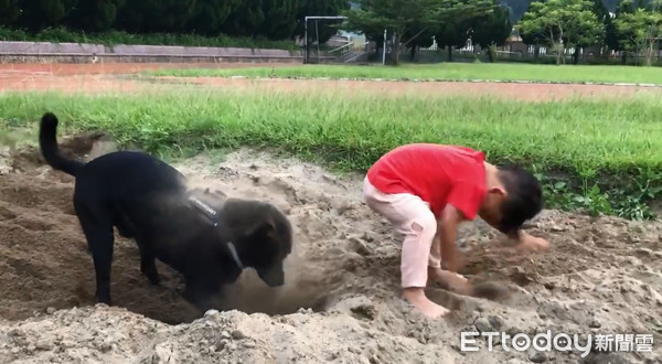 ▲▼歐告開心比賽挖洞!底迪「反向刨土」壓制...輸得灰頭土臉。(圖/粉專我的名字叫ㄍㄡˇㄗˇ授權提供)