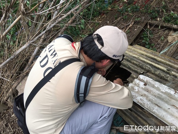 ▲疾管署屈公病孳清。(圖/疾管署提供)