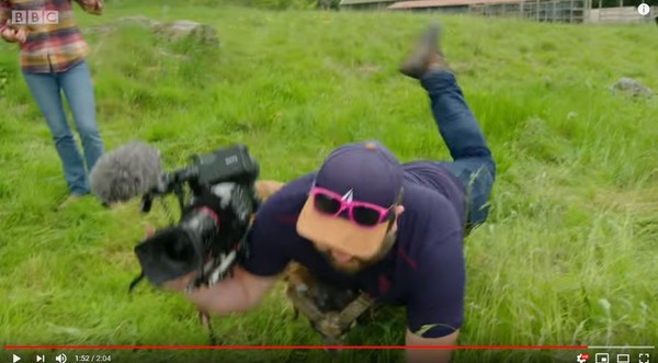 ▲▼ BBC攝影師遭羊角撞寶貝。（圖／翻攝自Youtube／BBC）