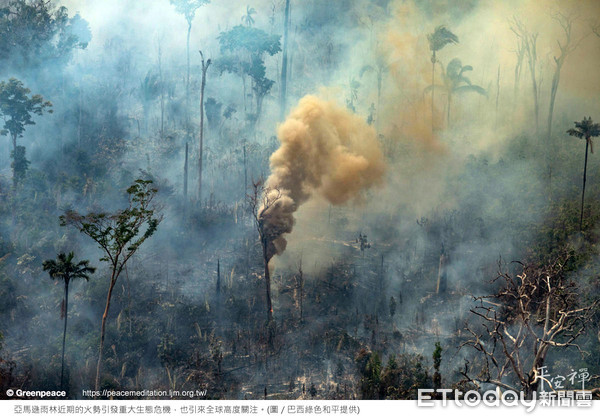 ▲2019年8月延燒不停的亞馬遜雨林野火。（圖／巴西綠色和平提供)