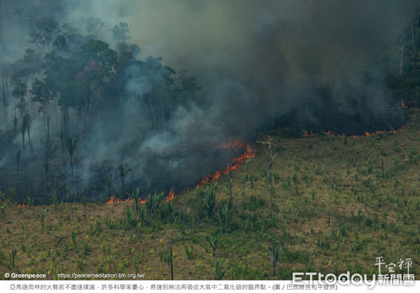 ▲2019年8月延燒不停的亞馬遜雨林野火。（圖／巴西綠色和平提供)