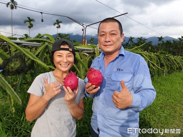 ▲屏東縣高樹鄉農友林庭榮偕妻子楊舒晴栽種種產銷履歷紅龍果，創造好口碑            。（圖／記者陳崑福翻攝）