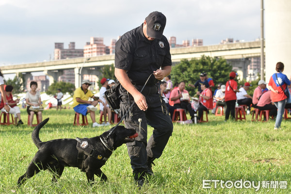 ▲▼緝毒犬,警犬隊,警犬,狗,安檢,反恐維安,NTPD K-9 Unit。（圖／記者李毓康攝）