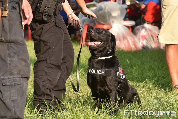 ▲▼緝毒犬,警犬隊,警犬,狗,安檢,反恐維安,NTPD K-9 Unit。（圖／記者李毓康攝）