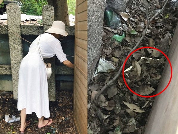 ▲大陸一名女網友在大阪一間神社參拜時，偷拔走支持香港的許願牌。（圖／翻攝自微博，下同）