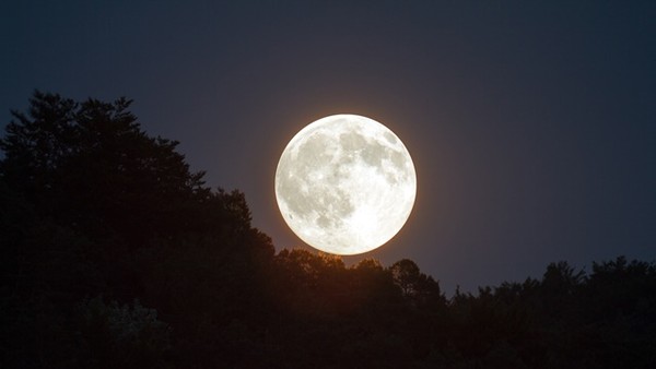▲▼月亮。（圖／取自免費圖庫Pixabay）