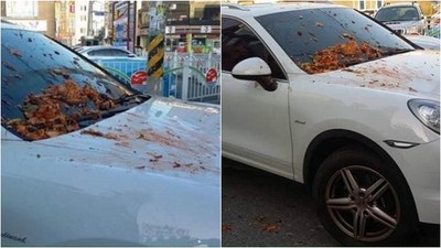 懶吼「誰的車！」保時捷愛卡餐廳門口　韓國大媽端泡菜替他洗車
