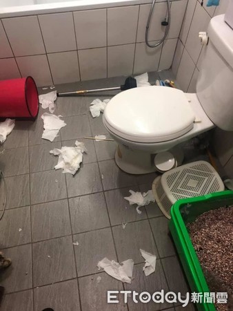 ▲怒～貓奴一回家廁所像被炸過　喵：是衛生紙先動手的！（圖／飼主陳亨利提供）