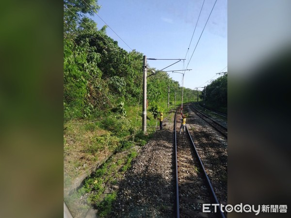 ▲▼因路樹傾倒碰觸電車線，導致台鐵崇德－新城電車線跳電。（圖／記者蕭可正攝）