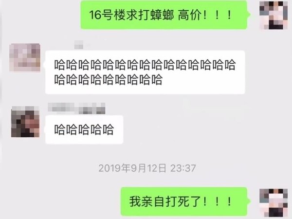 ▲▼女高中生不敢打寢室內的蟑螂，於是上網求救。（圖／翻攝自微博）