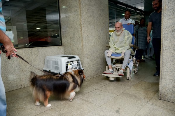 狗狗探望癌症主人。（圖／翻攝自Hospital Memorial São José）