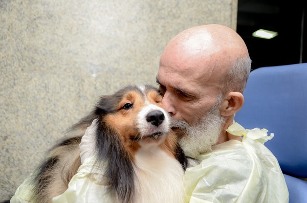 狗狗探望癌症主人。（圖／翻攝自Hospital Memorial São José）