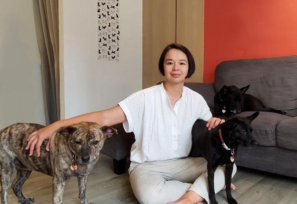 劉凱西後來又陸續養了兩隻米克斯，目前是三犬家庭。（華星娛樂提供）