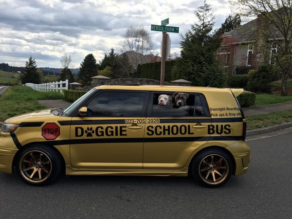 狗狗校車。（圖／翻攝自Doggie School Bus Inc.）