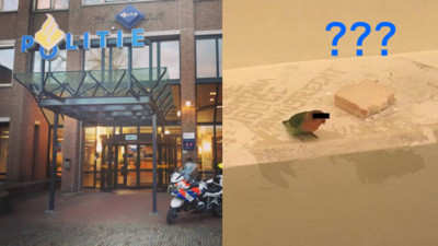 小鳥停在嫌犯肩膀上一起被逮捕！荷蘭電視台保護「鳥隱私」貼心上黑條