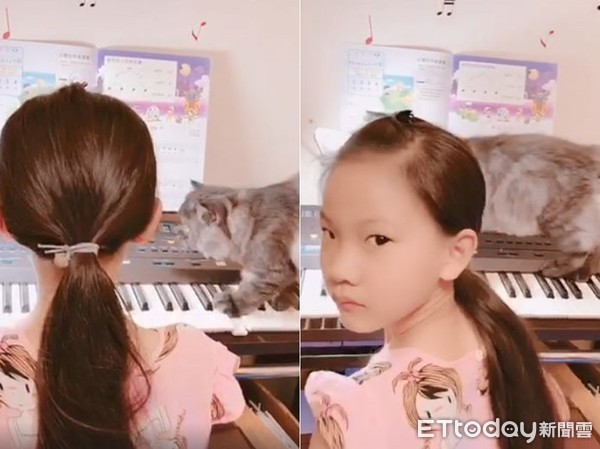 ▲女兒彈鋼琴被貓亂入超不爽。（圖／網友Mina Wu授權提供）