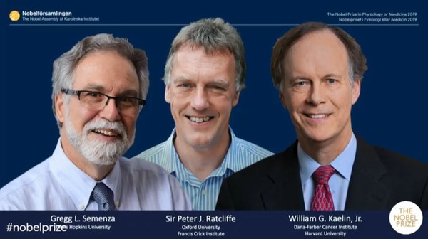 ▲2019年諾貝爾生醫獎得主，左起分別是美國醫學家格雷格塞門扎（Gregg L. Semenza）、英國分子生物學家彼得拉特克利夫（Peter J. Ratcliffe）、美國癌症學家威廉凱林（William G. Kaelin）。（圖／翻攝自YouTube／Nobel Prize）
