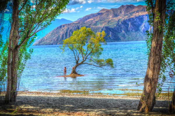 ▲紐西蘭。（圖／pixabay）