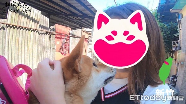 ▲柴犬外送員跨越全台17縣市！　「foodshiba」把燦爛笑容送到家。（圖／粉專「抖宅大人」授權提供）