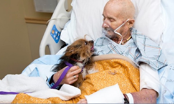 入住病房被迫與愛犬分離　69歲翁臨終最後心願：想再見牠一面。（圖／翻攝自Facebook／Albuquerque Animal Welfare）