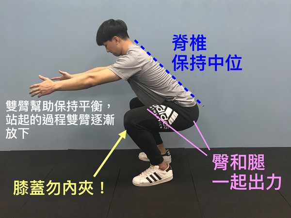 ▲▼分腿蹲-徒手深蹲-高腳杯深蹲。(圖/記者謝承恩攝) ▲▼分腿蹲-徒手深蹲-高腳杯深蹲。(圖/記者謝承恩攝)