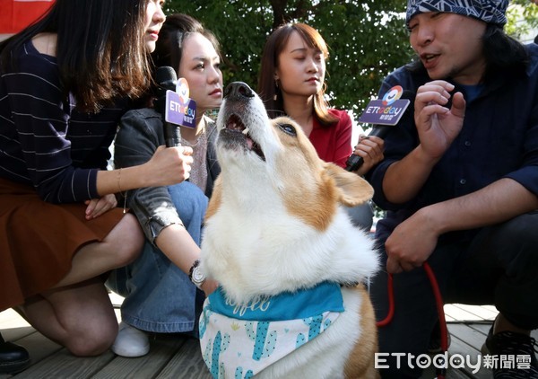 ▲▼2019好朋友放閃音樂節 中華電信 元本山。（圖／記者屠惠剛攝）