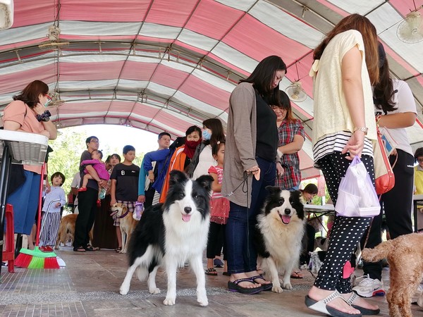 ▲▼ 嘉義市保護動物宣導。（圖／記者翁伊森翻攝）