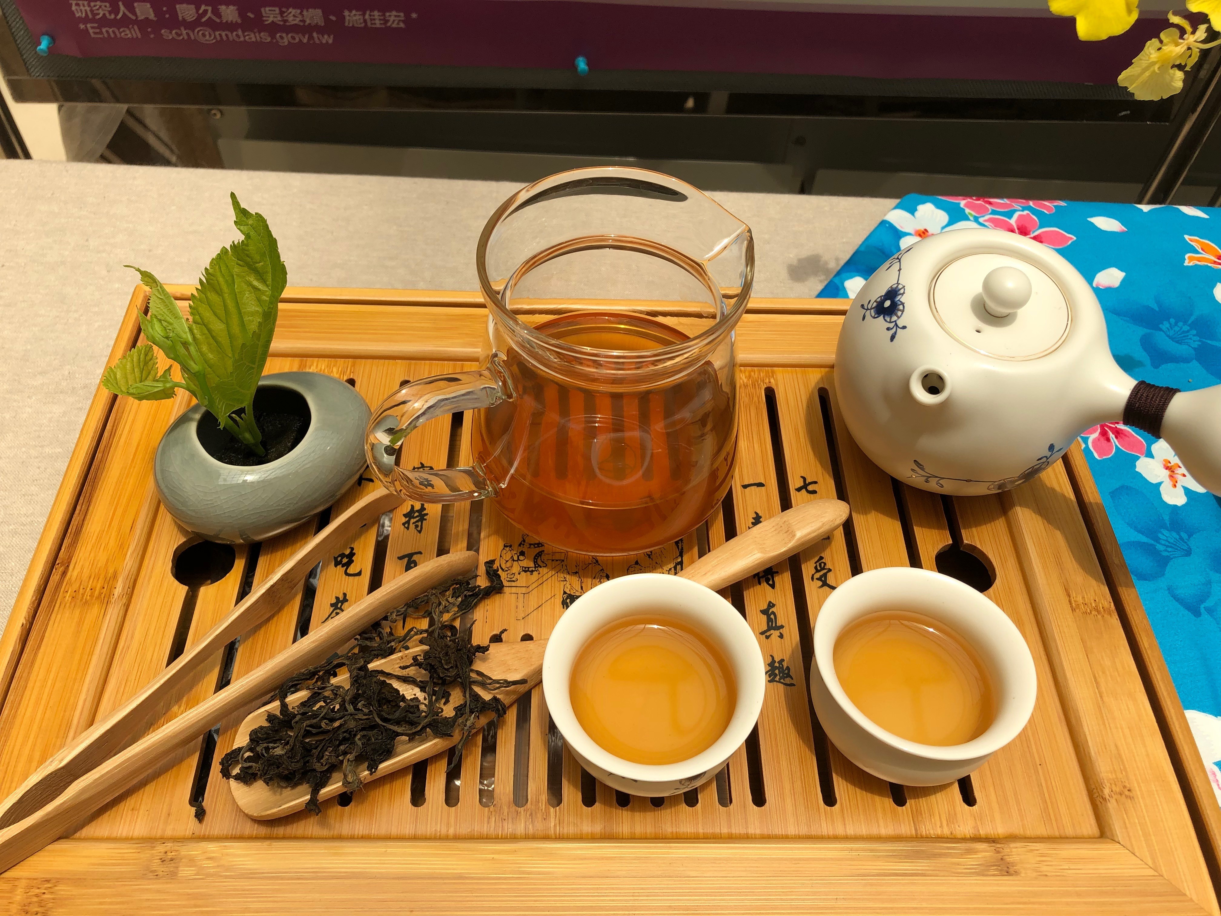 ▲▼ 桑葉茶導入台灣茶製程　GABA含量翻3倍      。（圖／農委會提供）