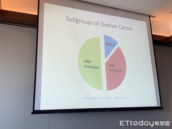 ▲ESMO Asia卵巢癌 。(圖/記者嚴云岑攝) ▲ESMO Asia卵巢癌 。(圖/記者嚴云岑攝)