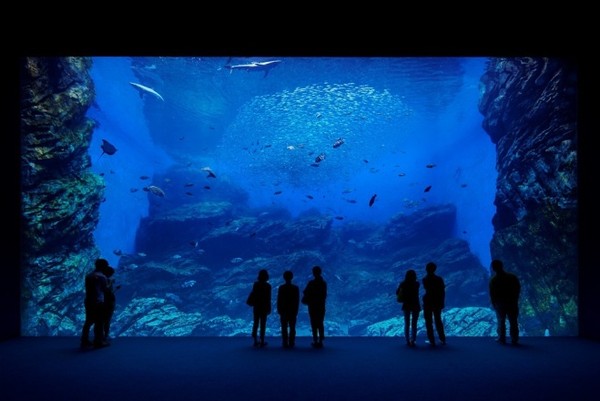 ▲八景島,華泰名品城,水族館。（圖／翻攝日本八景島官方網站）