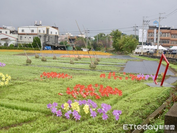 ▲桃園花彩節平鎮展區11/23起開跑。（圖／記者彭懷玉攝）