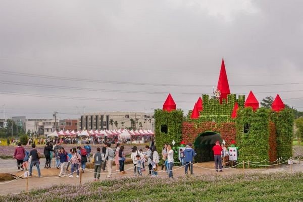 ▲2019桃園仙草花節浪漫開幕