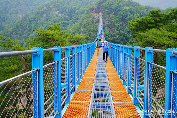 ▲▼ 小金山懸索吊橋。（圖／Simple Life。跟著安妮走）