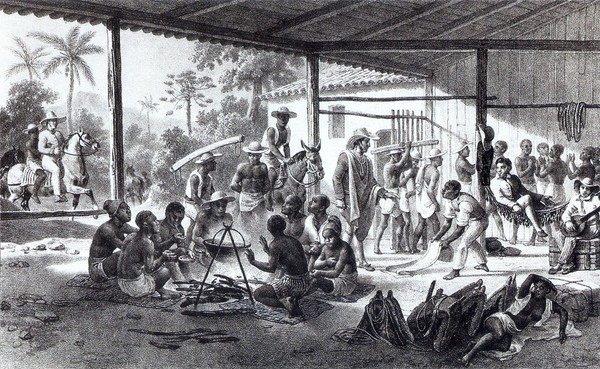 ▲▼巴西買來的奴隸，正送往種植園路上。（圖／翻攝自維基百科）