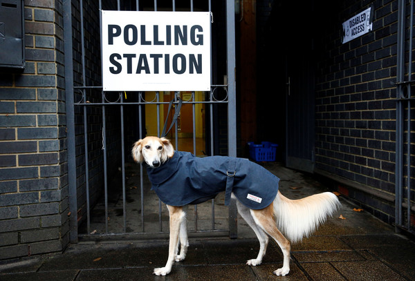 ▲▼英國大選帶狗投票傳統。（圖／路透）
