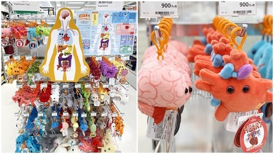 什麼器官都有！日本推出獵奇「人體器官吊飾」　大腦、子宮都能買回家
