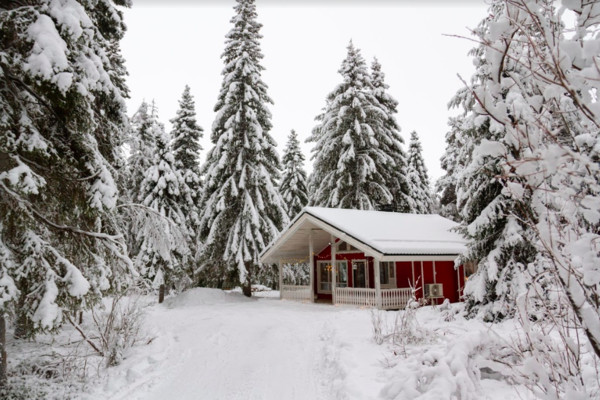 ▲芬蘭小屋,美國樹屋。（圖／Airbnb提供）