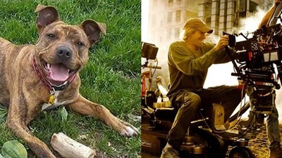 1萬個家庭拒養牠　「最孤獨的狗」遇上爆破王　亂入電影還找到家