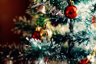 同志伴侶「家中擺133棵聖誕樹」　不同主題吸人潮：為收容所募款