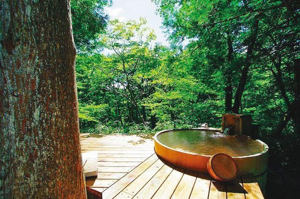 陳瑞聰入住「青い月」客房的露天泡湯池。(翻攝大根之花官網)