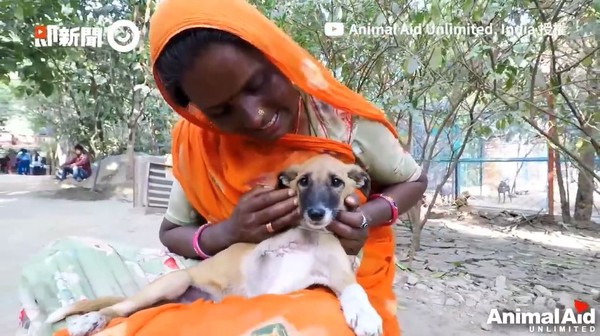 ▲狗狗被車輪輾斷前腳，依舊保持樂觀，對著志工撒嬌。（圖／即新聞／Animal Aid Unlimited India）