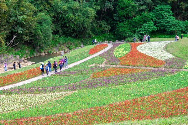 ▲大溝溪生態治水園區,大溝溪生態治水園區花海。（圖／台北市政府水利工程處提供）