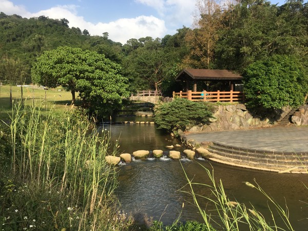 ▲大溝溪生態治水園區,大溝溪生態治水園區花海。（圖／台北市政府水利工程處提供）