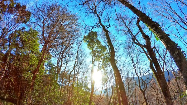 ▲▼霞喀羅國家步道。（圖／花蓮旅遊 張小敏提供）