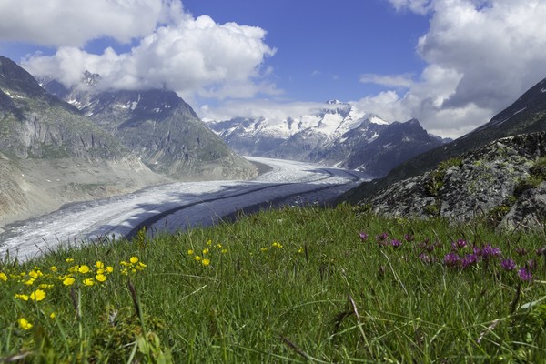 ▲瑞士超療癒！五大名山為你重新充電再出發▼             。（圖／七逗旅遊網提供）