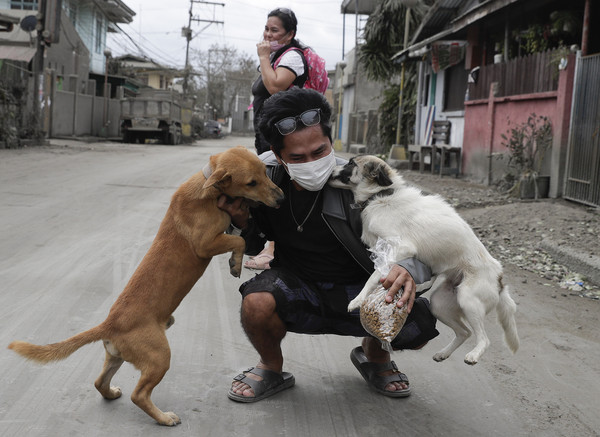 ▲菲律賓塔爾火山（Taal）12日下午噴發，民眾返家拯救寵物與家畜。（圖／達志影像／美聯社）