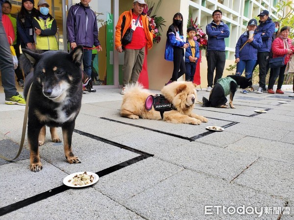 ▲新竹市動保所「四大改造」重新開幕　不變堅持「領養代替購買」。（圖／記者陳凱力攝）