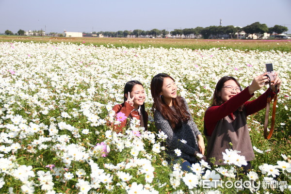 ▲冬日暖陽照彿，微風徐徐正是賞花好時節，莿桐花海從1月11至1月29日都有花開，是遊子返鄉、遊客訪友休憩的好去處。（圖／記者蔡佩旻攝）