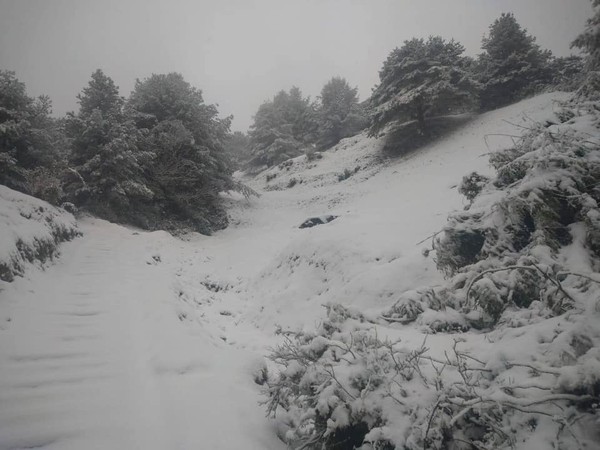 ▲玉山塔塔加下雪。（圖／取自玉山國家公園臉書）